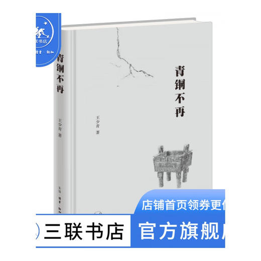 青铜不再 王少青 著 散文随笔 三联书店 商品图0