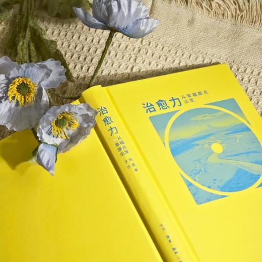 治愈力：从幸福原点出发 子然 沙漠 著 三联书店 商品图2