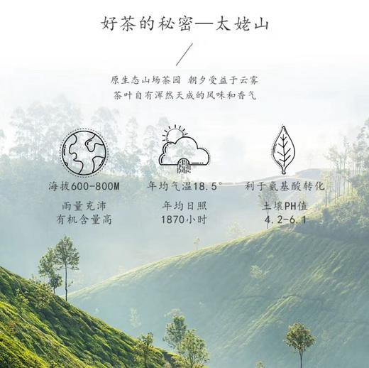 茗道堂丨老街坊(紧压白茶) 150g 商品图5