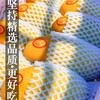 海南金煌芒10斤芒果一级大果新鲜水果现摘青甜心黄皮水仙芒整箱 商品缩略图2