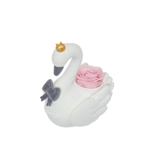 ROSEONLY诺誓 永生玫瑰 公仔系列 斯威娜天鹅 粉色金色 送朋友 情人节礼物 商品图2