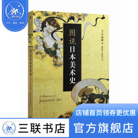 图说日本美术史 日 辻惟雄 著 艺术史哲学概论 三联书店