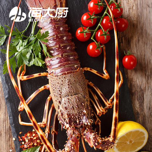 古巴龙虾400-500 商品图3