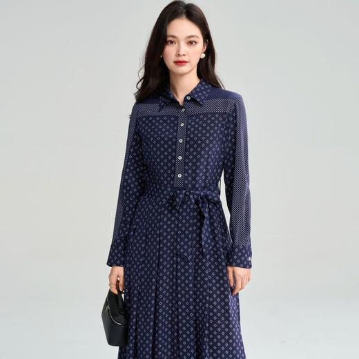 25春法式优雅重工定位印花翻领长袖收腰长款衬衫百褶连衣裙25022 商品图1
