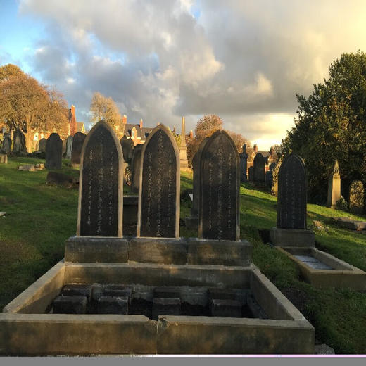 泰恩河上的黄龙旗 张黎源 著 中国史 三联书店 商品图5