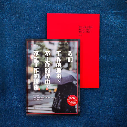 译文纪实：我们工作的理由、不工作的理由、不能工作的理由（日）稻泉连 著 工作的意义 打工人必看 《工作漂流》姐妹篇 商品图5
