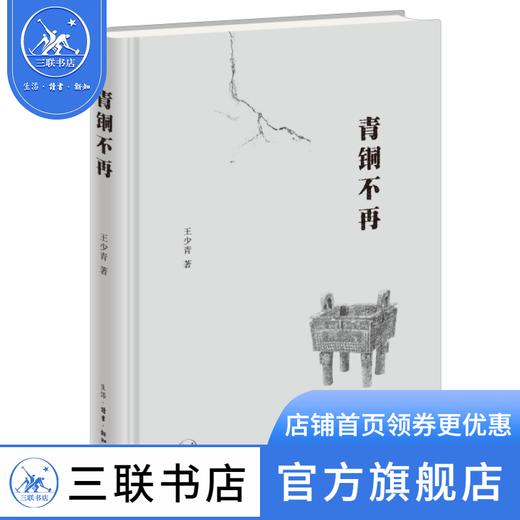 青铜不再 王少青 著 散文随笔 三联书店 商品图1