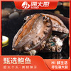 海大厨-甄选大连鲍鱼6头385g（201.0949） 商品缩略图0