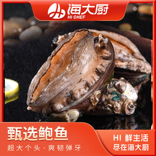 海大厨-甄选大连鲍鱼6头385g（201.0949） 商品图0