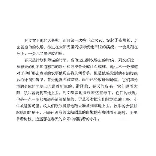 安娜卡列尼娜（上下）列夫·托尔斯泰 著 俄苏文学经典译著  三联书店 商品图4