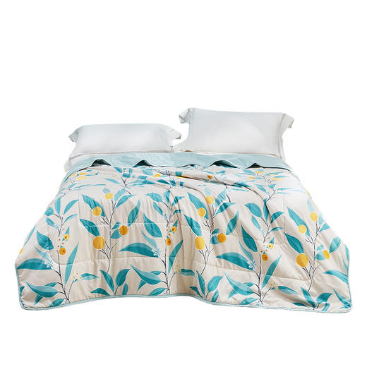 罗莱果色天香夏被200*230【分仓直发，72小时发货，周末节假日不发货】 商品图14