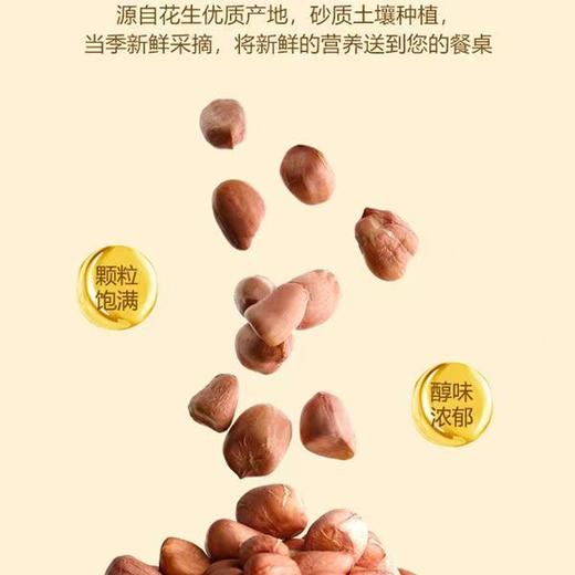 鲜味春天 一级花生油 5L装 商品图5