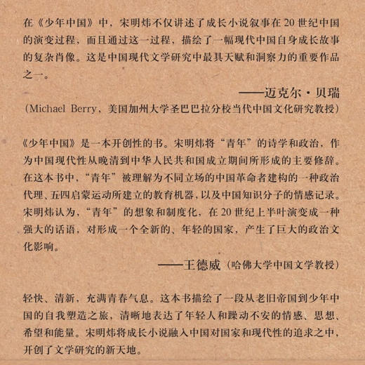 少年中国 民族青春与成长小说1900—1959年 宋明炜 著 《新青年》创刊110周年之际重估从觉醒年代出发的青春话语集合体 三联书店 商品图1