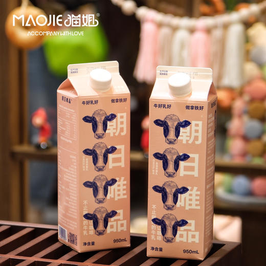 朝日唯品牛乳（950g） 商品图0