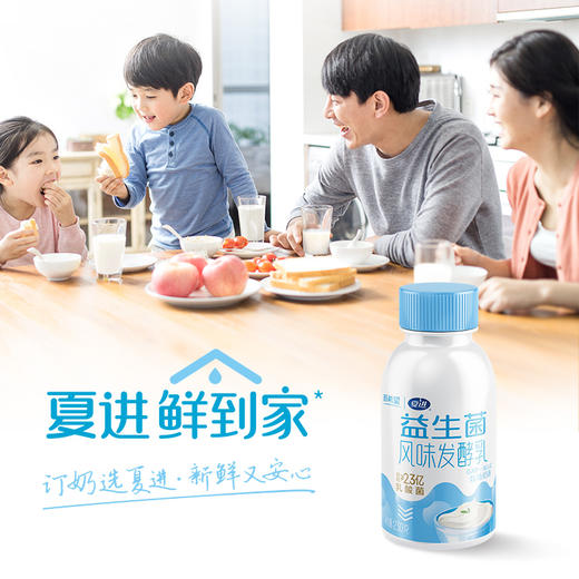 年套餐「银川本地日配服务」夏进益生菌风味发酵乳230ml/瓶 其他地区下单请联系客服 商品图3
