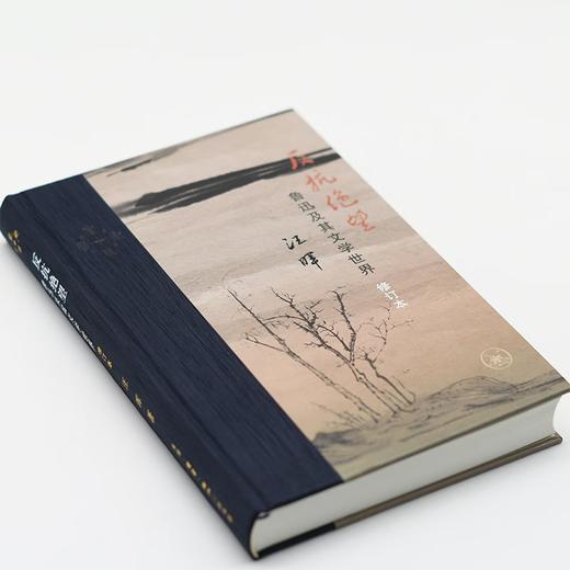 反抗绝望：鲁迅及其文学世界（修订本）汪晖著 鲁迅研究代表作当代学术 三联书店 商品图1