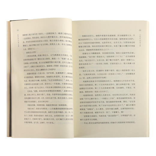 醉里挑灯看红楼 刘晓蕾 著 文学研究 三联书店 商品图2