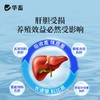 【社群专享】华畜胆汁酸肝胆综合肝胆康鱼虾蟹保肝护胆水产养殖促进生长抗应激 商品缩略图2