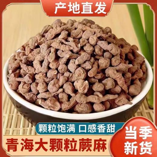 青海蕨麻人参果500克包邮新货煲汤熬粥 蕨麻 商品图0