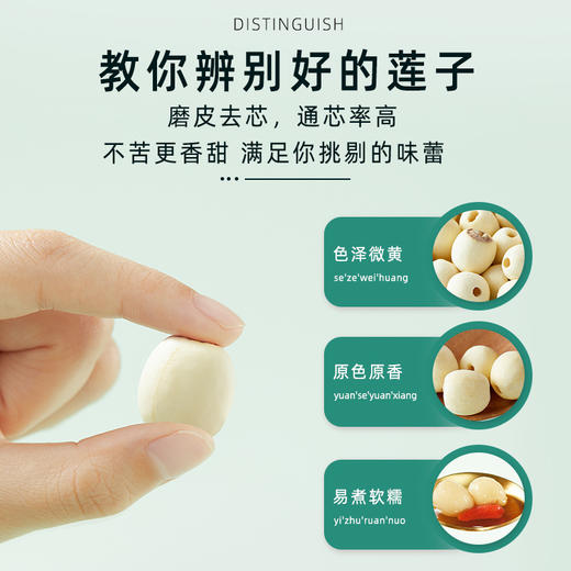 十月稻田 新鲜莲子 干货 250g/袋 商品图1
