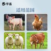 华畜解暑灵解暑抗暑避免中暑降温抗应激猪牛羊家禽薄荷饲料添加剂 商品缩略图3