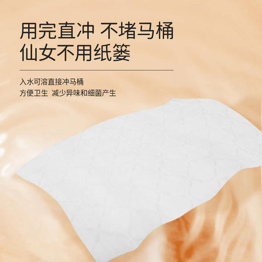 【超值12包】澳洲进口可冲散卫生湿厕纸 母婴可用40抽/包  A-5944 商品图5