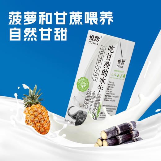 贵州省惠水县悦黔吃甘蔗的水牛纯牛奶200ml*10盒/提 商品图8