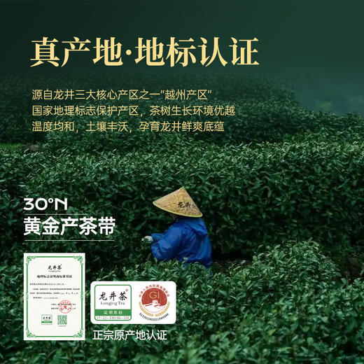 【25年新茶】华祥庄园-明前头采龙井绿茶125g 商品图3