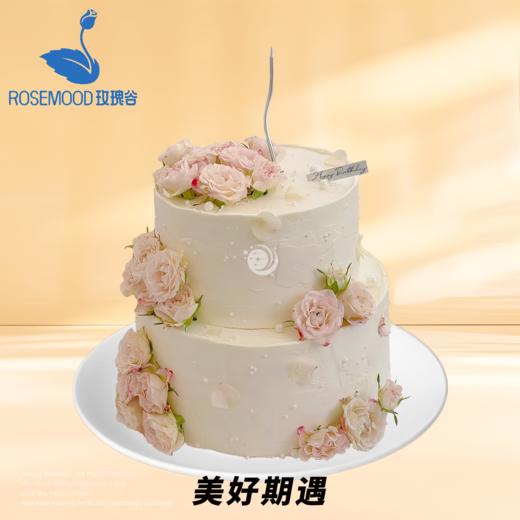 8+6英寸全年龄段人气爆款动物奶油生日蛋糕（12选1） 商品图7