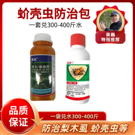 蚧壳虫防治包