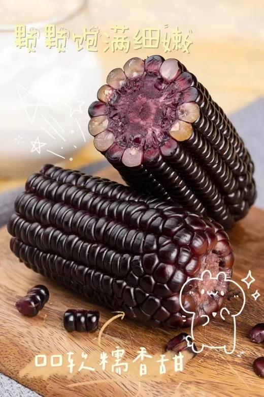 慕安黑糯玉米 火山脚下生长 富硒富锌 富含花青素 饱满细嫩 软糯香甜 无添加 商品图1