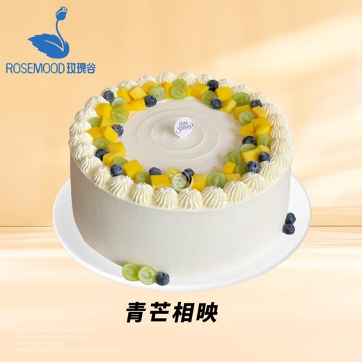 12英寸全年龄段爆款热销动物奶油生日蛋糕（12选1） 商品图7