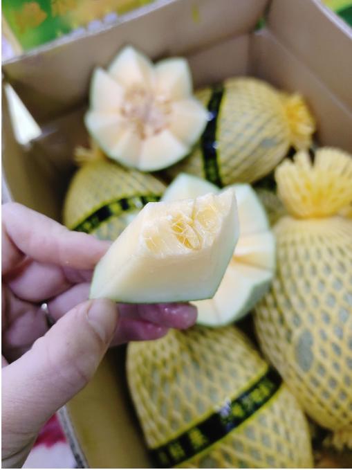 25号晓蜜瓜一个 商品图1