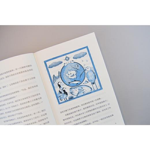 【独秀书香卡】魔法象·故事森林  艾兰岛的守护者  8~14岁及以上 儿童小说 儿童文学 商品图7