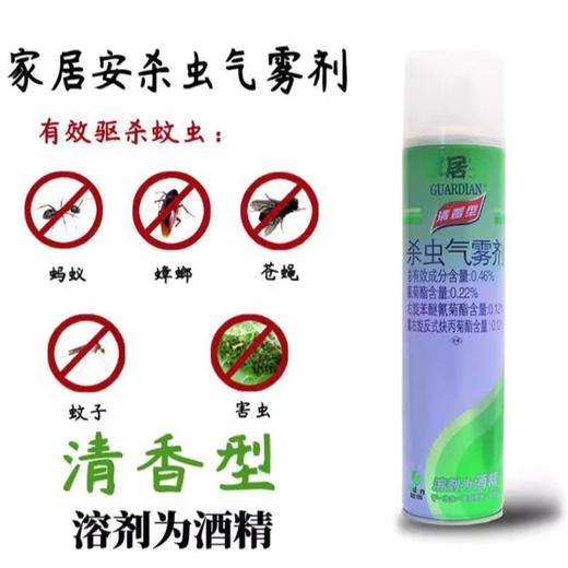 家居安 普及型杀虫水400ml（绿装） 商品图1