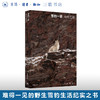 雪豹一家：卓玛王朝 骆晓耘著  野生动物摄影 纪实手札 配有120余幅珍贵高清摄影图 生活读书新知三联书店旗舰店 商品缩略图0