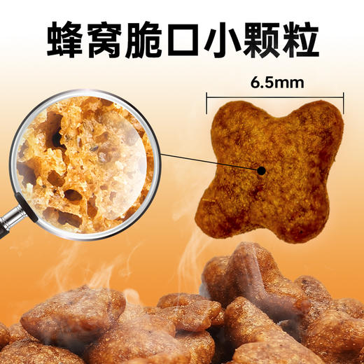 澳龙澳维康猫肾脏全价处方粮1.2kg赠50g试吃 商品图2