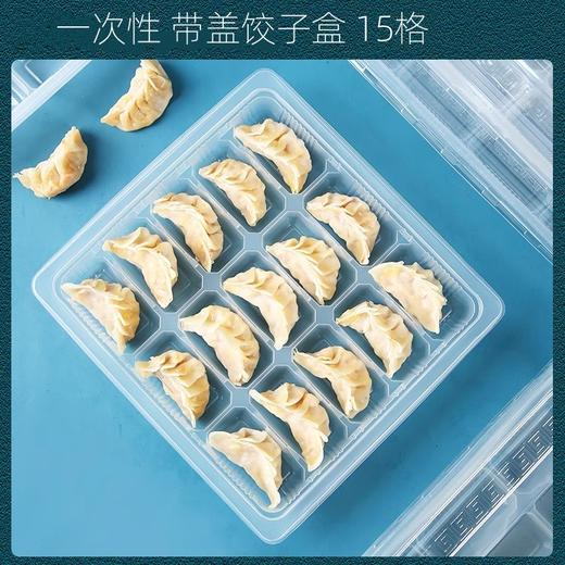 15格 一次性饺子盒  50个装 带盖饺子盒 外卖打包盒塑料水饺包装盒 商品图0