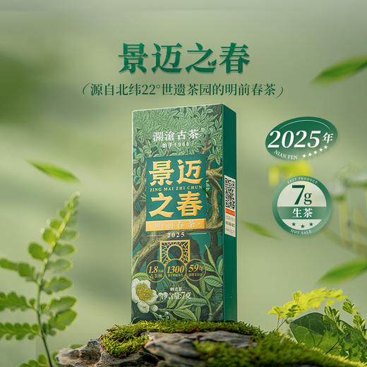 【特惠尝鲜】澜沧古茶2025年景迈之春明前春茶散茶7g 商品图0
