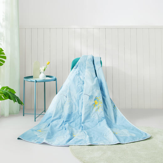 罗莱辽源栎丝™全棉可水洗蚕丝夏被200*230【分仓直发，72小时发货，周末节假日不发货】 商品图2