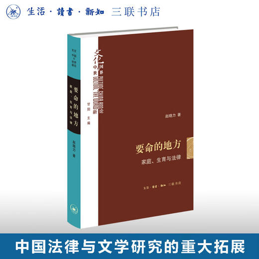 要命的地方：家庭、生育与法律 赵晓力 著 文化：中国与世界新论 三联书店 商品图0
