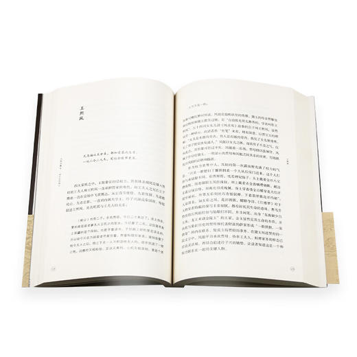 入世与离尘：一块石头的游记 王博 著 散文随笔 三联书店 商品图4