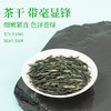 【年货茶礼】茶叶 信阳毛尖  2025年新茶嫩芽 茶叶礼罐装 茶饮 华源 250g 商品缩略图4