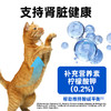 澳龙澳维康猫肾脏全价处方粮1.2kg赠50g试吃 商品缩略图4