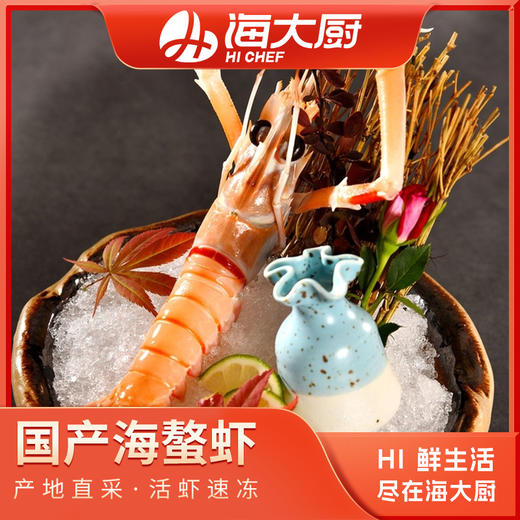 海鳌虾-国产 商品图0