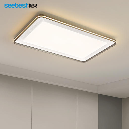 海恋长方-客厅灯-支持视贝智家 商品图0