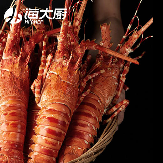 海大厨-玫瑰龙虾（为保证品质，限辽宁省内发货） 商品图3