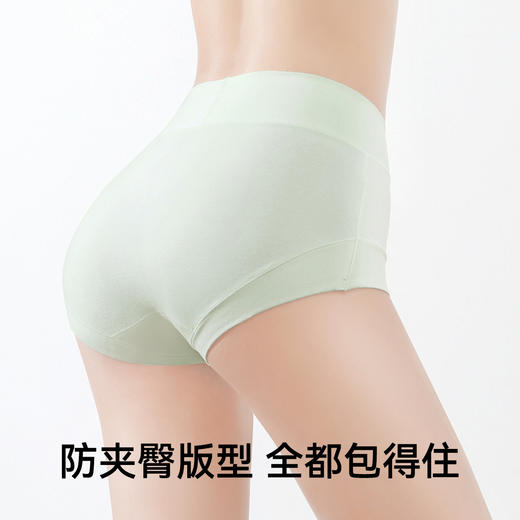 【59元3条】宝娜斯50支A类婴儿棉纯棉内裤 7A级抑菌加长裆臀高腰收腹内裤 商品图1