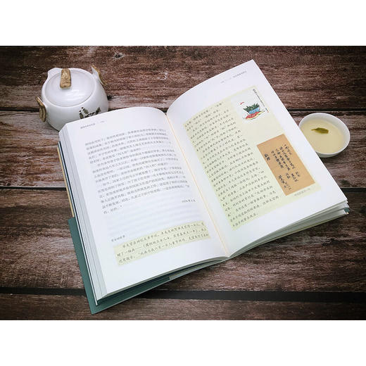 洒风神永忆渠:回忆中的丰子恺和他的时代 丰子恺 等著 克勒门文从 三联书店 商品图4