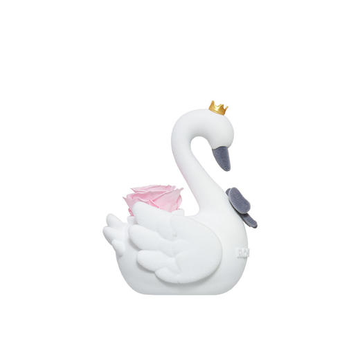 ROSEONLY诺誓 永生玫瑰 公仔系列 斯威娜天鹅 粉色金色 送朋友 情人节礼物 商品图7